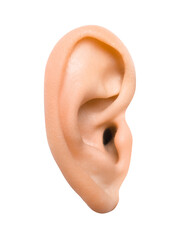Woman on white background, closeup of ear