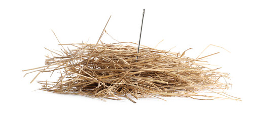 Sewing needle in hay on white background © New Africa