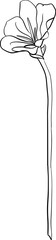 Line Flower Illustration