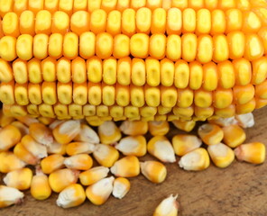 Corn cob and seeds on wooden table