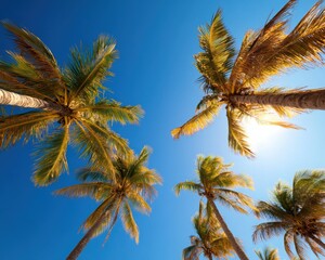 Endless Horizon: A fisheye lens captures the expansive blue sky stretching over a collection of swaying palm trees. 