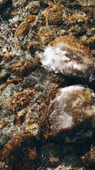 cold mountain waterstream among brown stones