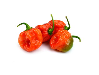 Red habanero chili peppers isolated white background, capsicum chinense, hottest spice with wrinkled or dimpled skin intense spiciness flavor, culinary ingredient