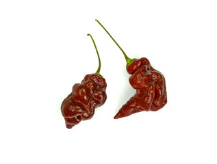 Carolina Reaper, the hottest chile pepper Capsicum chinense, whole ripe pod, isolated on white background. Superhot or extremely hot chile pepper