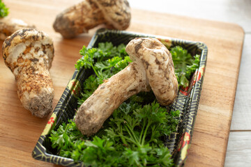 A view of a matsutake mushroom in a plastic tray.