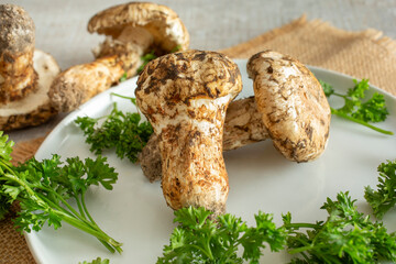 A view of some matsutake mushrooms on a plate.