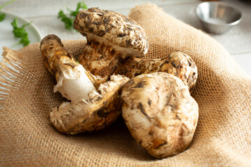 A view of a pile of matsutake mushrooms.
