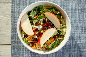 A top down view of a salad, topped with apples and cranberries.