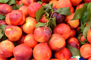 a beautiful fragrant ripe nectarine, the view from the top. Nectarines in the market. A group of colorful nectarine fruits on a market.