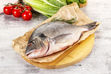 Raw dorada fish served rosemary