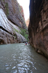 Hiking Zion Canyon The Narrows with Water and Rocks Surrounded by the Narrow Bottom of the Canyon, Green Trees, and Perfect May Weather during spring to early summer vacation