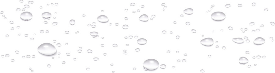 Realistic vector water drops isolated on transparent background. High-quality illustration of droplets after rain, morning dew, and condensation on glass surfaces. Water texture with drops