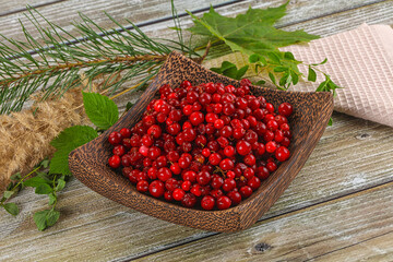 Natural organic wild forwst lingonberry