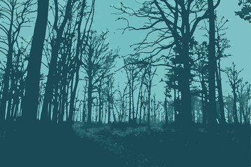  A photograph of a dense, eerie forest with tall, thin trees. The trees are mostly bare, with some sparse foliage. The ground is covered in a thick layer of fallen leaves and underbrush. The sky is 