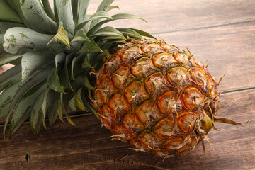 Tropical sweet exotic Pineapple fruit
