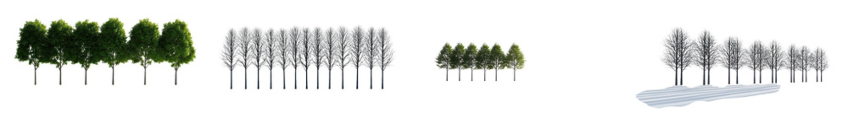 Obraz premium Stunning natural landscape featuring a dense lush green forest with a diverse mix of deciduous and evergreen trees creating a serene and peaceful outdoor setting