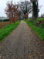 Country road with trees and grass in the autumn season, France.