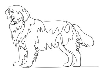 Continuous One Line Golden Retriever | Minimalist Dog Vector Illustration
