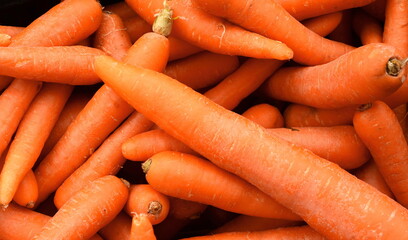 Organic carrots background. Stack of fresh carrots at the market