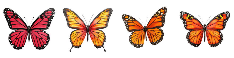 Fototapeta premium Colorful butterflies with intricate wing patterns flying gracefully in a lush vibrant tropical garden landscape Delicate and fragile yet captivating and eye catching natural beauty