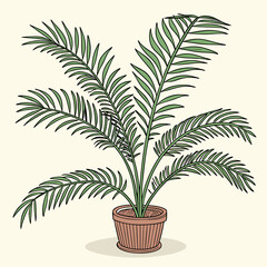Palm tree plant in pot vector illustration