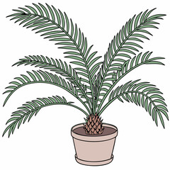 Palm tree plant in pot vector illustration