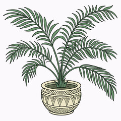 Obraz premium Palm tree plant in pot vector illustration