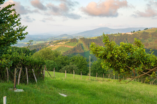 Elcano (in Basque: Elkano) is a town belonging to the municipalities of Aya and Zarauz, in Guip&uacute;zcoa, an autonomous community of the Basque Country, Spain.