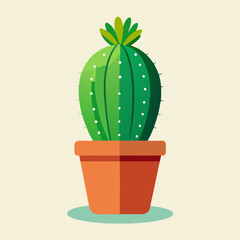 Cactus plant in pot vector illustration