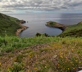 Landscape in Faial island Azores archipelago Portugal