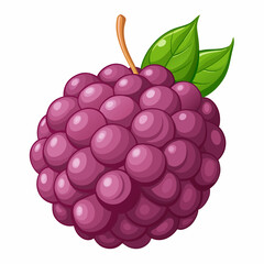 puffy mulberry cluster