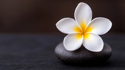 Fototapeta premium Elegant Blossom Resting on Stone Serene Natural Balance Beauty Symbol of Peace and Calmness Wellness and Harmony