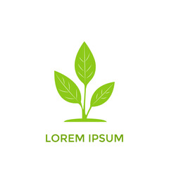 Sprout Logo Isolated White background. Vector Illustration