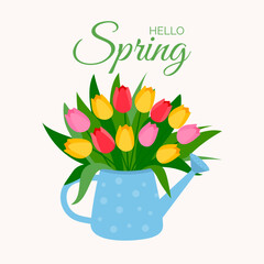  Colorful tulips,spring flower bouquet in the watering can. Floral composition.Vector illustration isolated