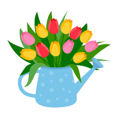  Colorful tulips,spring flower bouquet in the watering can. Floral composition.Vector illustration isolated