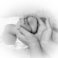 Black and white photo. Parent's hands holding tiny baby toes. Soft feeling closeup of a newborn baby lying on a sheep hide with blurry sunflower in the background. Mother protecting new life. Love.