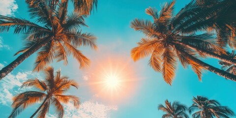 Tropical palm trees under bright sun with blue sky and clouds