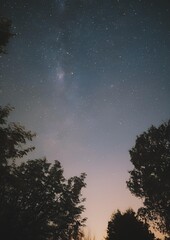 time lapse of clouds over the forest