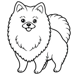 Adorable cute husky fluffy Pomeranian dog, American eskimo dog. hand drawn icon cartoon character line art vector illustration outline image