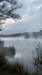 Fototapeta premium Foggy lake view with mist and silhouettes of trees under overcast sky 