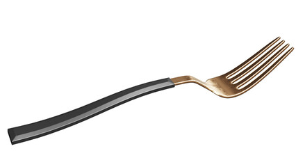 Rose Gold and Black Fork on white