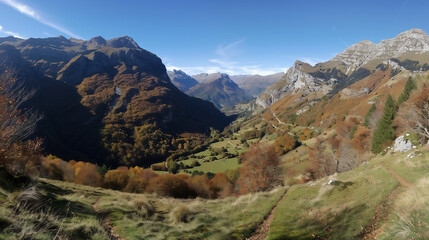 Fototapeta premium Gorgeous panorama of the landscape in autumn. Gorgeous panorama of the landscape showing a meadow and a path leading into the forest