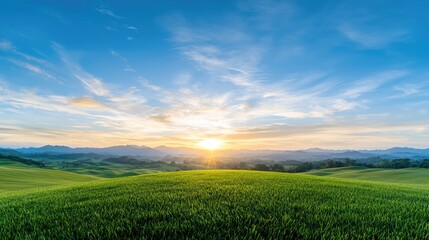 Fototapeta premium Vibrant green grassy hill under a bright morning sunrise in a peaceful rolling countryside landscape.