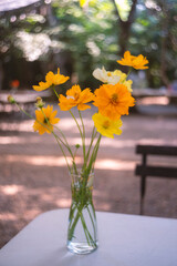 Yellow flowers