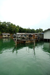 Obraz premium boat on the river