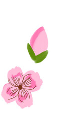 Pink flower