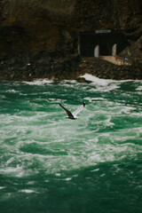 Wodospad Niagara © Katarzyna