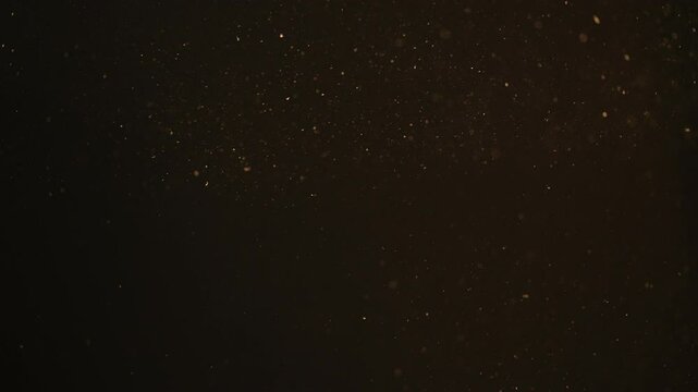 Slow motion rack focus of dust particles float in sunlight on black background