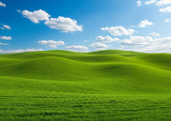 Fototapeta premium Rolling green hills under a blue sky