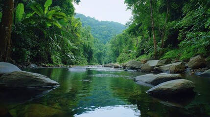 Obraz premium Tranquil View of Lush Green Forest with Serene River and Smooth Stones Under Cloudy Sky